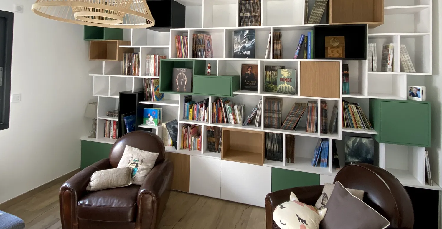 Bibliothèque murale sur mesure dans un salon bibliothèque sur mesure avec niches colorées et rangements pour livres